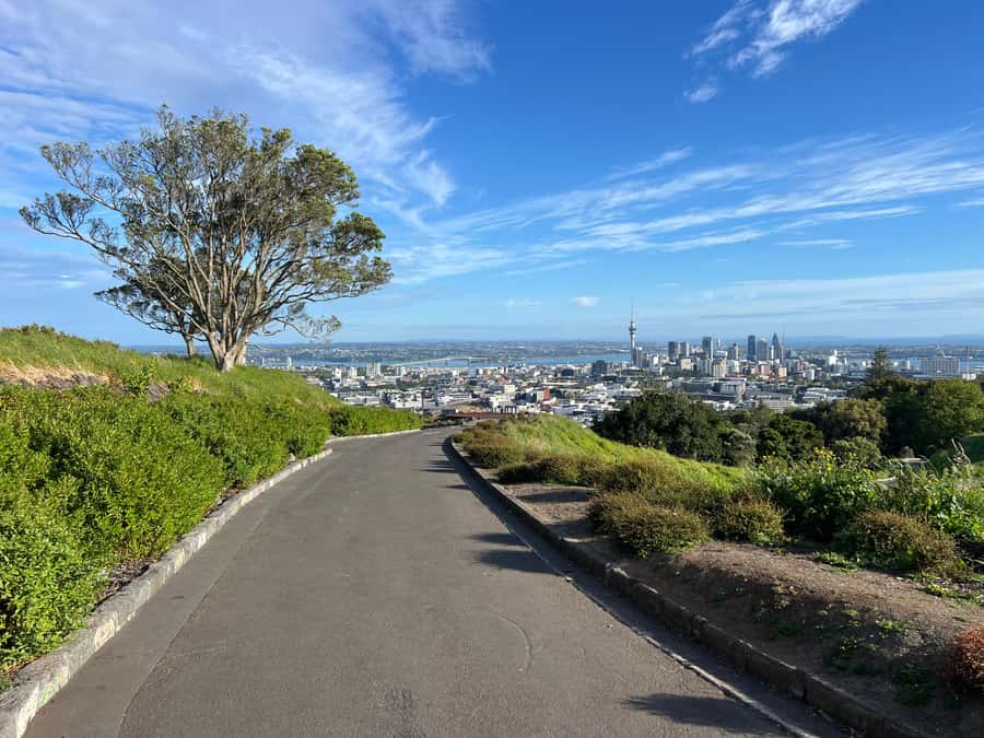 Half-Day Auckland City Highlights Tour with Hotel Pickup - Key Things You’ll Notice on This Tour