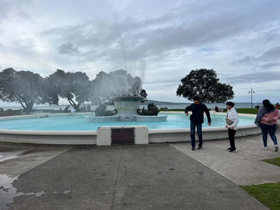 Half-Day Auckland City Highlights Tour with Hotel Pickup - Transportation, Timing, and Comfort: What Actually Matters