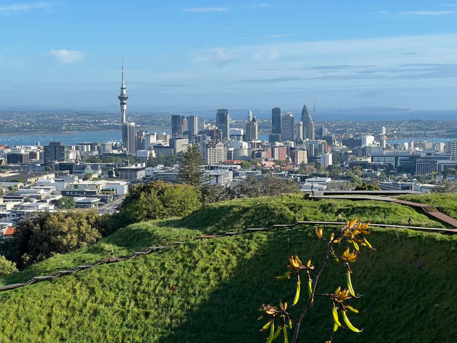 Half-Day Auckland City Highlights Tour with Hotel Pickup - Sky Tower to Harbor Bridge: Seeing Auckland’s Two Personalities
