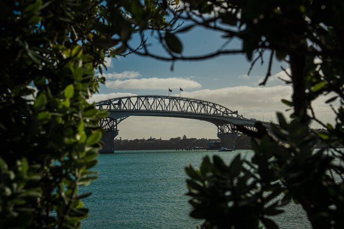 Half-day Discover Auckland City Sightseeing Tour - Key Things You’ll Notice on This Tour