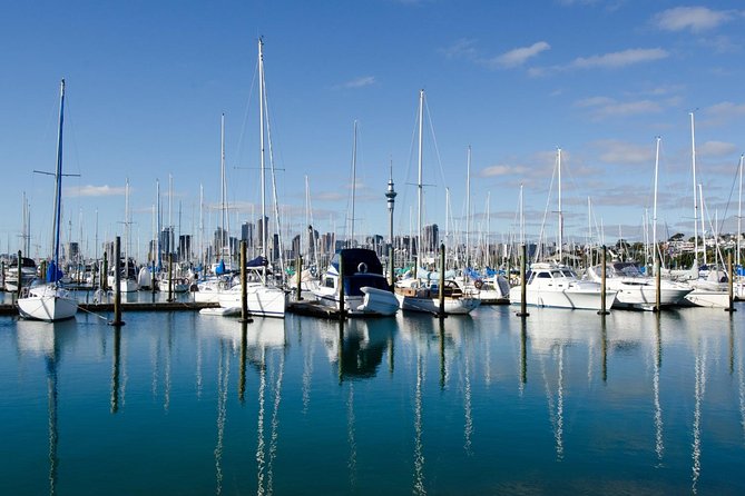Half-day Discover Auckland City Sightseeing Tour - The Auckland Domain and Parnell Rose Gardens: Photo Spots, Not Long Detours