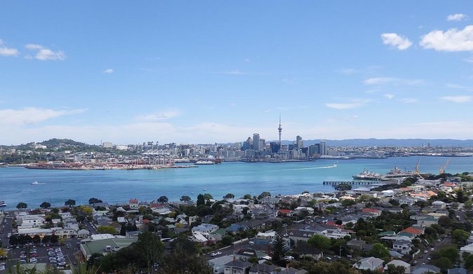 Half-Day: Small Group Auckland Scenic Tour - 4 HOURS - Key things to love about this Auckland half-day tour