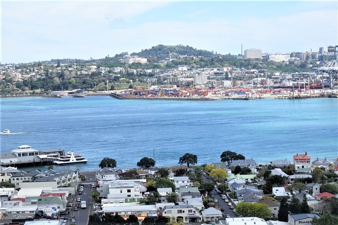 Half-Day: Small Group Auckland Scenic Tour - 4 HOURS - Harbour Bridge to the North Shore: the 1959 wow moment