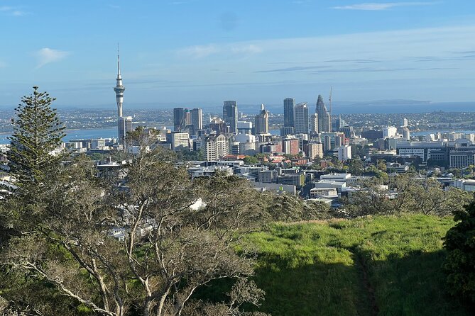 Half-Day Tour: AUCKLAND CITY Highlights with Hotel Pickup - Key things you’ll notice right away
