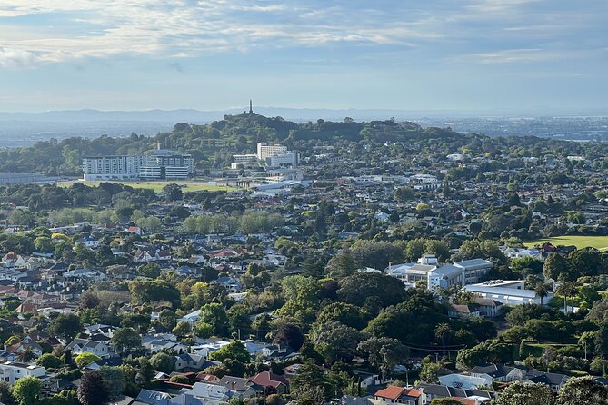 Half-Day Tour: AUCKLAND CITY Highlights with Hotel Pickup - Sky Tower and Harbour Bridge: fast skyline wins with real photo time