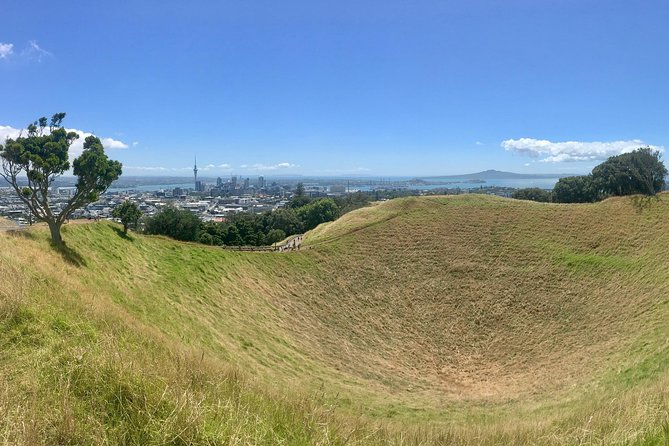 Half-Day Volcano Tour from Auckland - Key highlights at a glance