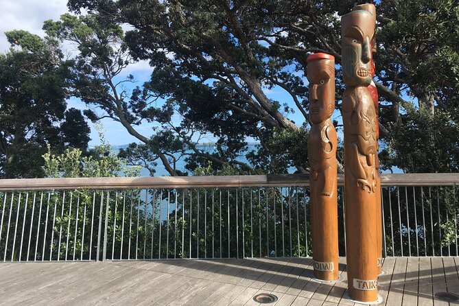 Half-Day Volcano Tour from Auckland - Start time, pickup, and how the day flows