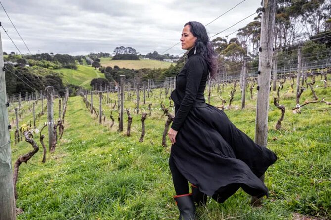 High End Sommelier Tour on Waiheke Island - Price and Logistics: What $930.86 Gets You