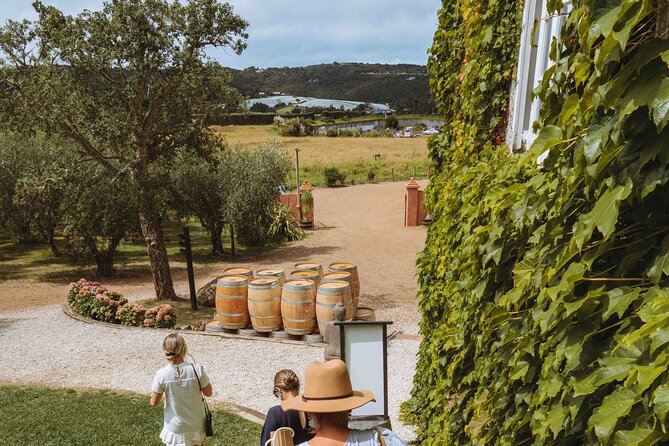 High End Sommelier Tour on Waiheke Island - Your Tasting Choices: Swap One Vineyard for Beer, Gin, Whisky, or Olive Oil