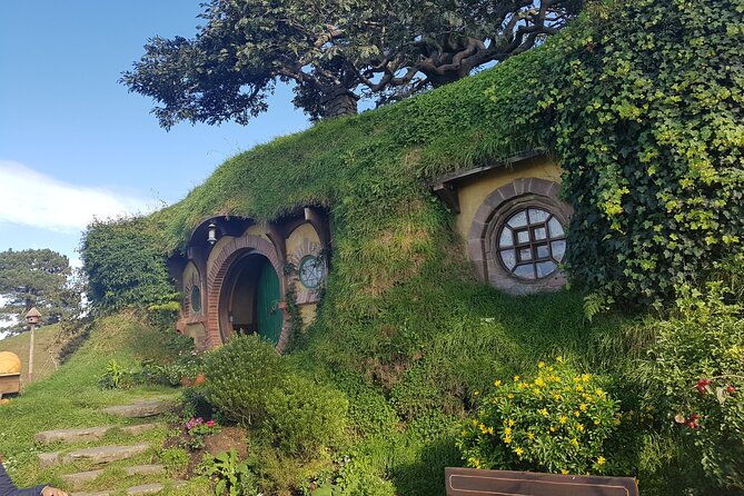 Hobbiton Afternoon Tour in Luxury Minibus from Auckland - A late-morning Hobbiton plan that actually feels relaxed