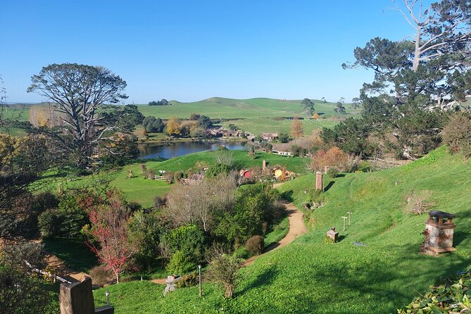Hobbiton Afternoon Tour in Luxury Minibus from Auckland - Getting to Hobbiton Movie Set: the drive and arrival rhythm