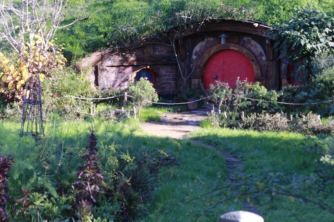 Hobbiton and Waitomo Caves from Auckland - Smaller Group - Waitomo Glow-worm Caves: A Guided Hour of Bioluminescent Magic