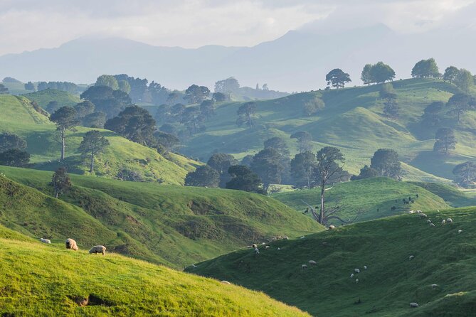 Hobbiton and Waitomo Caves Small Tour from Auckland - A one-day two-icon plan from Auckland