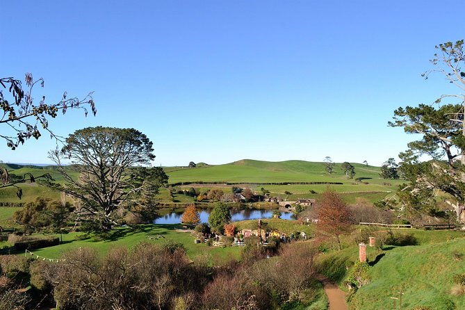 Hobbiton Movie Set Group Tour Early Access (Avoid the crowds!) - Your Guided Walk Through Hobbit Holes and Film Props