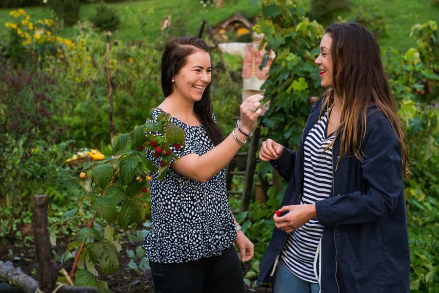 Hobbiton Movie Set & Rotorua Premium Day Tour from Auckland - Value and timing: why the $269 price can make sense