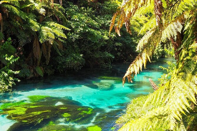 Hobbiton Movie Set Tour to Blue Springs and Mineral Spa - How the guide shapes the whole day