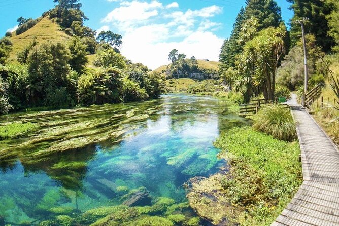 Hobbiton Movie Set Tour to Blue Springs and Mineral Spa - Price and value: what $456.12 is buying you