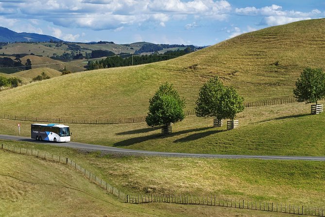 Hobbiton & Waitomo Caves Guided Tour from Auckland with Lunch - The included lunch and the Green Dragon Inn drink