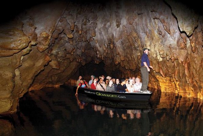 Hobbiton & Waitomo Caves Guided Tour from Auckland with Lunch - Value check: is $271.19 worth it for Hobbiton plus Waitomo?