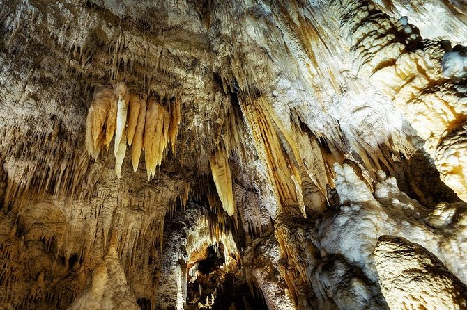 Hobbiton & Waitomo Caves Small Group Tour from Auckland inc Lunch - Otorohanga lunch break: where the day slows just enough