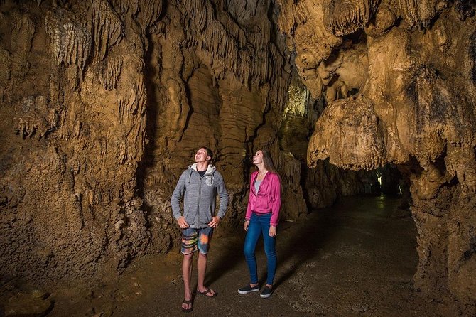 Hobbiton & Waitomo Caves Small Group Tour from Auckland inc Lunch - Small-group format and guides: why it feels easier
