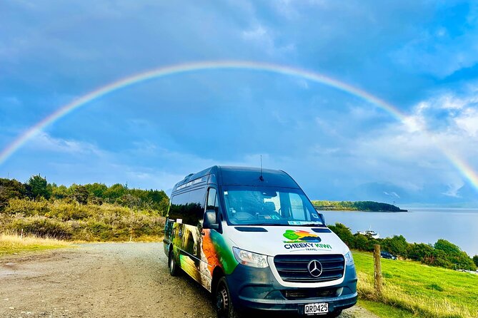 Hobbiton & Waitomo Caves Small-Group Tour W Lunch from Auckland - Price and what $235.20 buys you in real life
