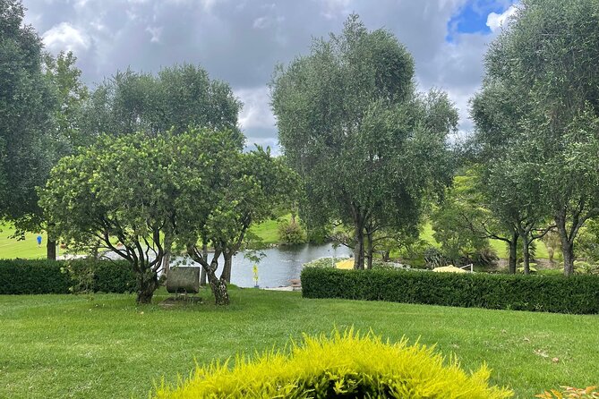 Kumeu Wine Tour - Westbrook Winery: The Long Lunch Block You’ll Thank Yourself For