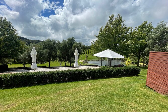 Kumeu Wine Tour - Soljans Estate Winery: Family-Run Tastes and Classic Kumeu Feel