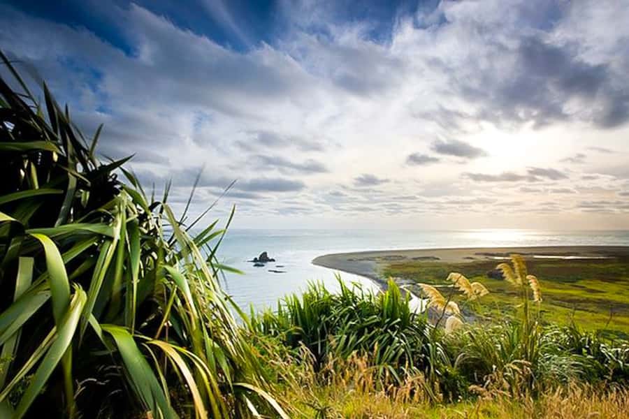 Luxury Auckland Maori Tour - Who this tour is perfect for (and who should think twice)