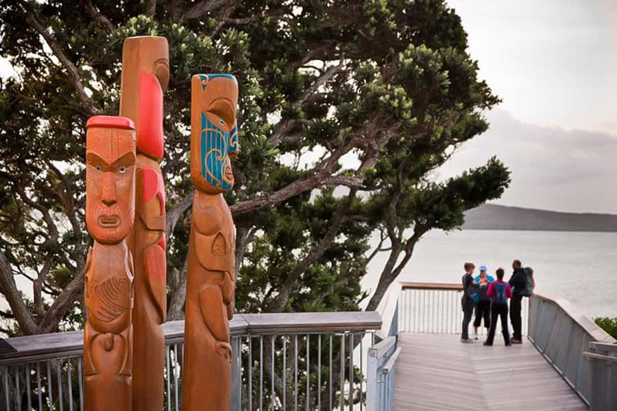 Luxury Auckland Maori Tour - Luxury in the details: Mercedes, timing, and small-group pace