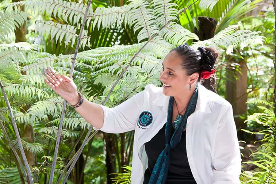 Luxury Auckland Maori Tour - Auckland highlights first: Museum, Domain, Parnell, and Tamaki Drive