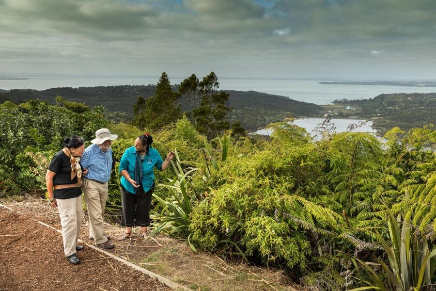Luxury Auckland Maori Tour - Waitakere Ranges West Coast: kauri, pohutukawa, cliffs, and black sand