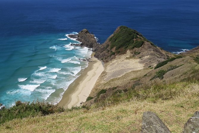 Luxury Private Transfers: Auckland Airport to City - Your drop-off: Auckland Central and any requested location
