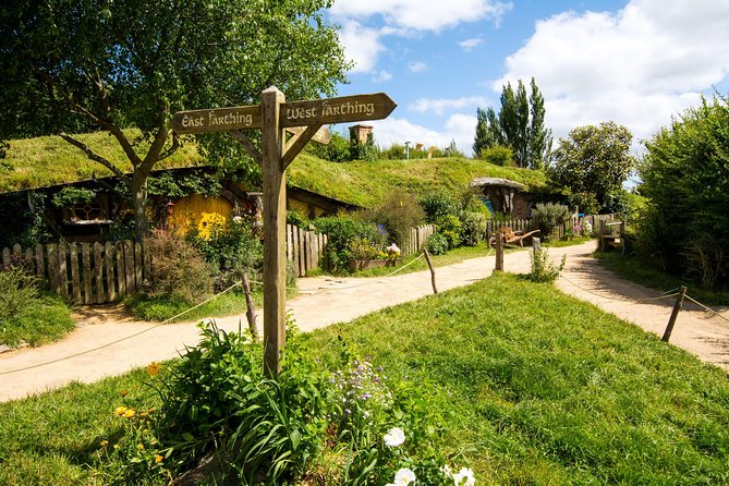 Luxury Small group tour from Auckland to Hobbiton Movie Set - Quick hits: what you’ll feel most on this tour