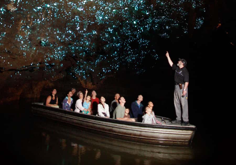 Magical Hobbiton & Waitomo Caves Small Group from Auckland - Practical tips so your day runs smoothly