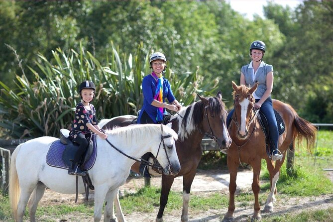 Matakana Art & Horse Riding Experience Private Tour From Auckland - Key highlights at a glance