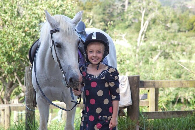 Matakana Art & Horse Riding Experience Private Tour From Auckland - Horse riding in Warkworth: confidence-building, even if it’s your first time