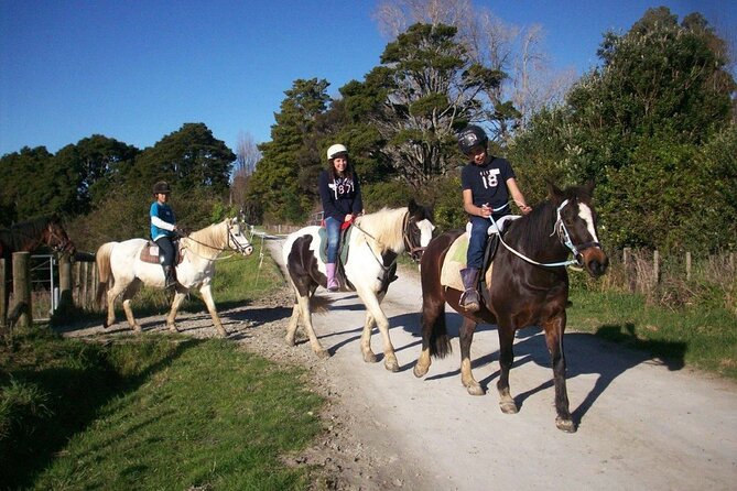 Matakana Art & Horse Riding Experience Private Tour From Auckland - What you’ll actually see on horseback (and why it feels special)