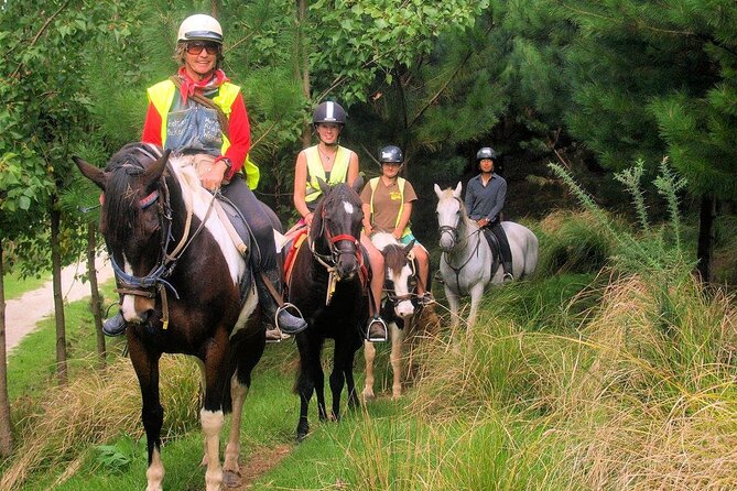 Matakana Art & Horse Riding Experience Private Tour From Auckland - Chocolate Brown: a stop that’s more than tasting