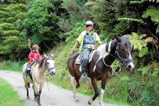 Matakana Art & Horse Riding Experience Private Tour From Auckland - Door-to-door Auckland transport that keeps the day on track
