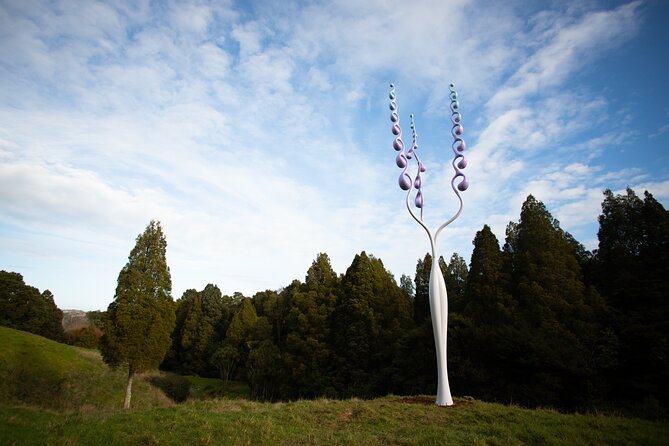 Matakana Art & Vineyard Experience incl. Lunch & Wine Tasting Tour From Auckland - Sculptureum: another art-and-nature pause, self-guided