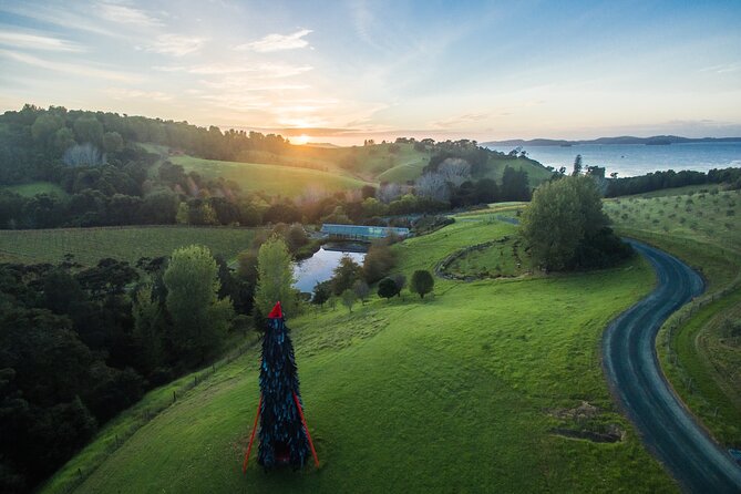 Matakana Art & Vineyard Experience incl. Lunch & Wine Tasting Tour From Auckland - Wine tasting at two locally owned vineyards: what to expect