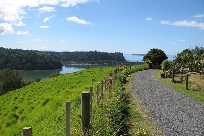 Matakana Scenic Coastal Getaway from Auckland - Key things that make this Matakana day work
