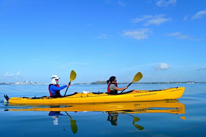 Motukorea / Browns Island Sea Kayak Journey - Price and value: what $121.01 includes and why it adds up