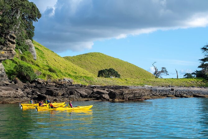 Motukorea / Browns Island Sea Kayak Journey - The half-day flow: what your 8:30am starts really look like