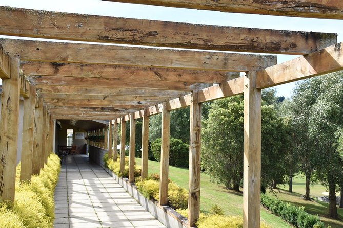 Muriwai Scenic Wine Tour from Auckland - The guide makes it: stories, photo stops, and weather-aware planning