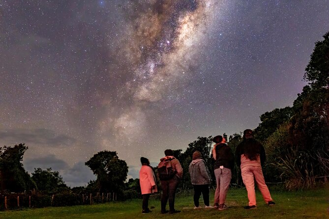 Nocturnal Wonders Tawharanui Kiwi Spotting and Stargazing Tour - Small-group touring: the value of up-close questions
