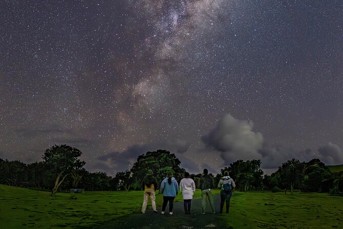Nocturnal Wonders Tawharanui Kiwi Spotting and Stargazing Tour - Stargazing away from city lights, with telescopes in hand