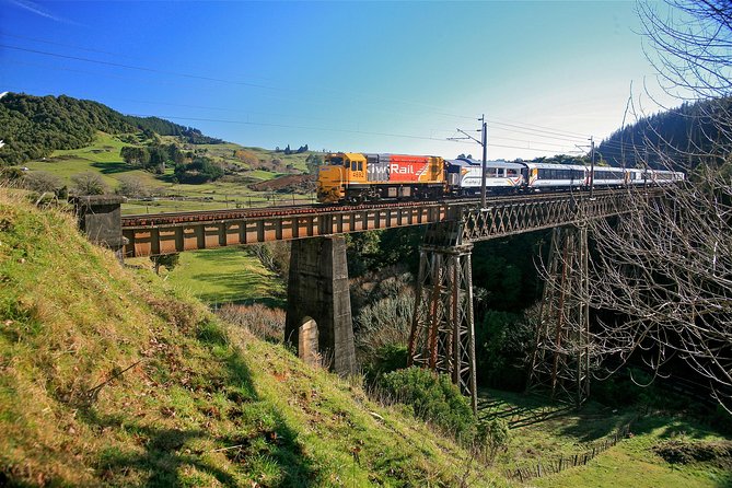 Northern Explorer Train Journey from Auckland to Wellington - Key things to know before you board