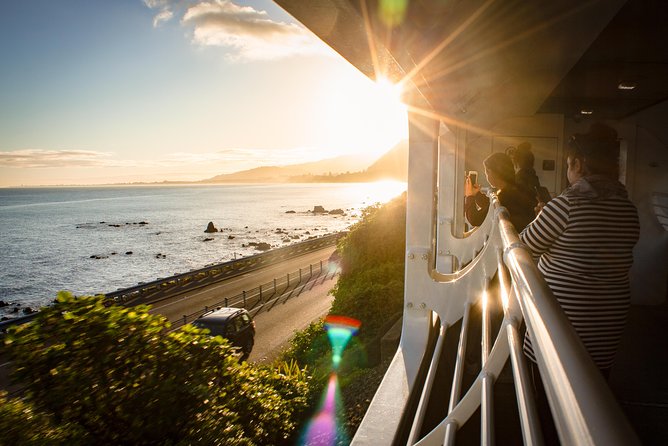 Northern Explorer Train Journey from Auckland to Wellington - Open-air viewing decks: your best tool for real photos and real feelings